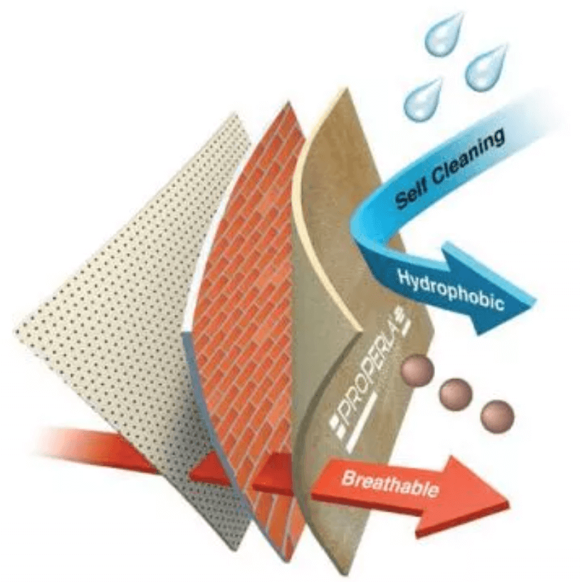 rising damp faq